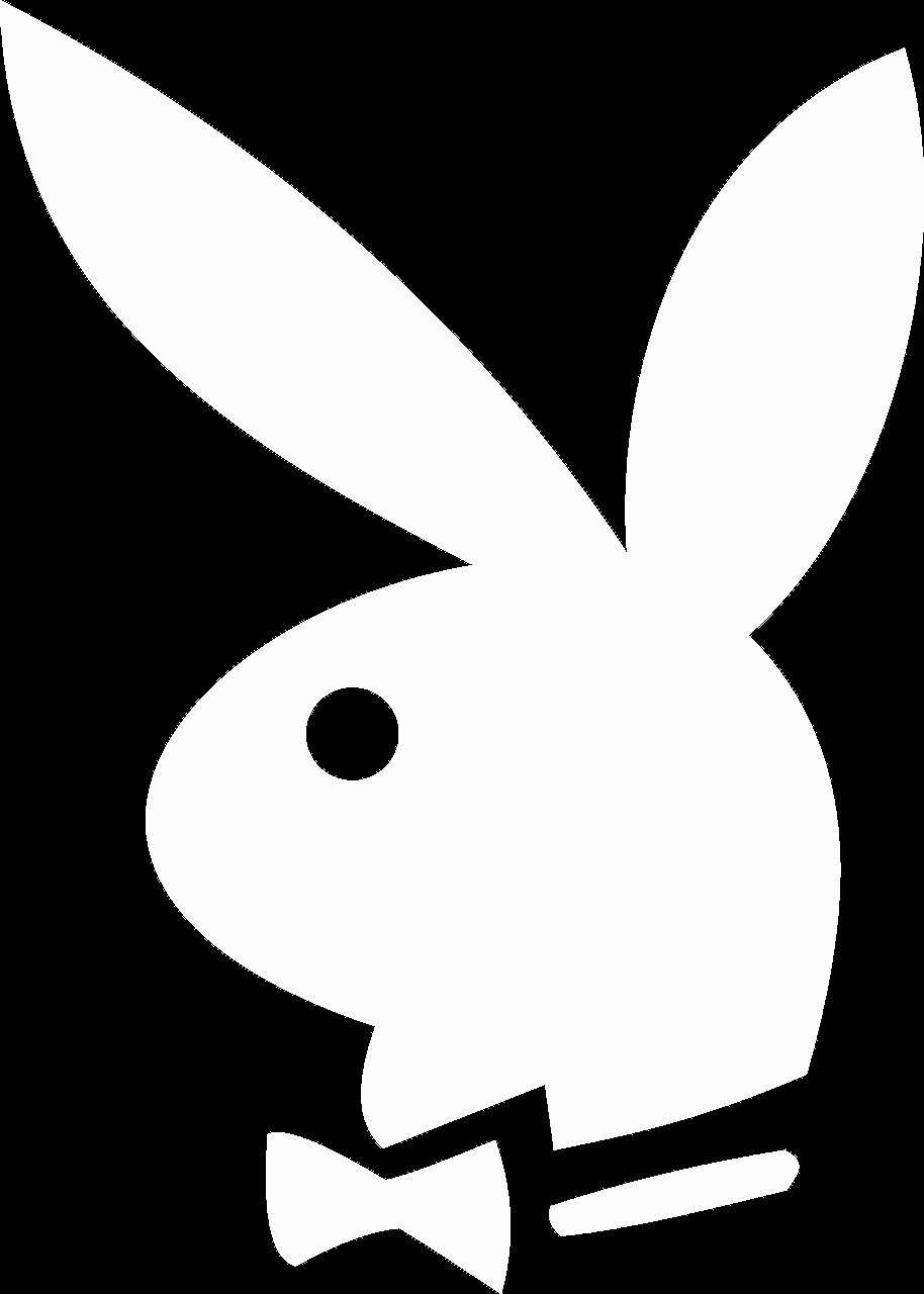 DER PLAYBOY ALLER PLAYBOYS​